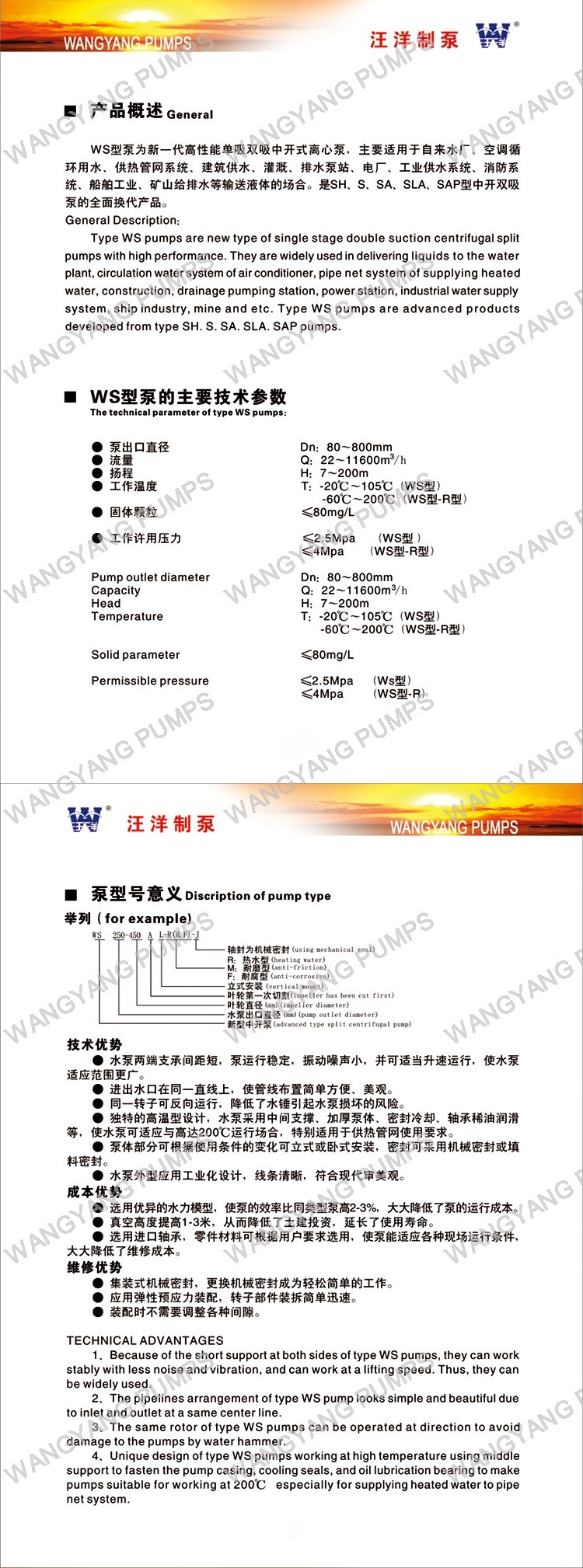 Single Stage Double Suction Horizontal Split Case Centrifugal Pump