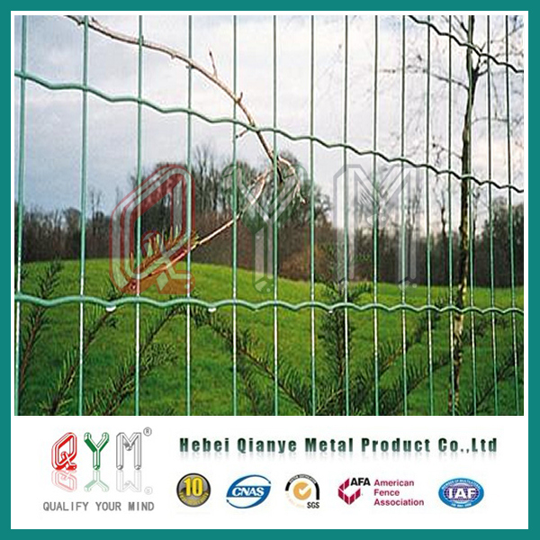 PVC Coated Holland Wire Mesh/ Welded Wire Mesh Euro Fencing