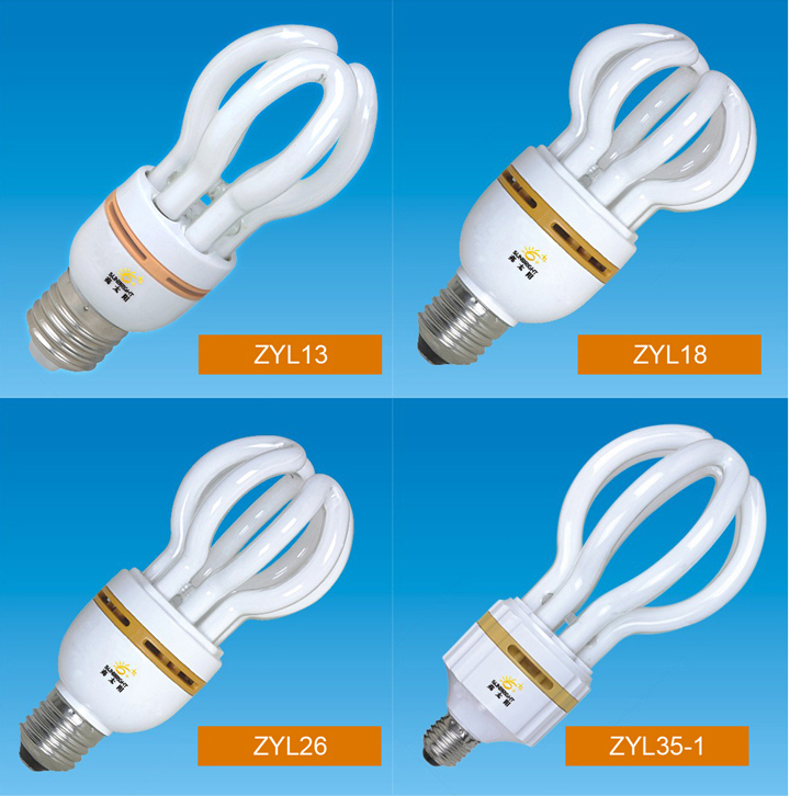 China Factory 3u Flower Energy Saving Light