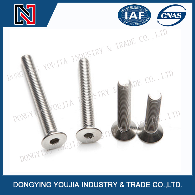 Ansib18.3f Stainless Steel Hexagon Socket Countersunk Flat Cap Head Screw