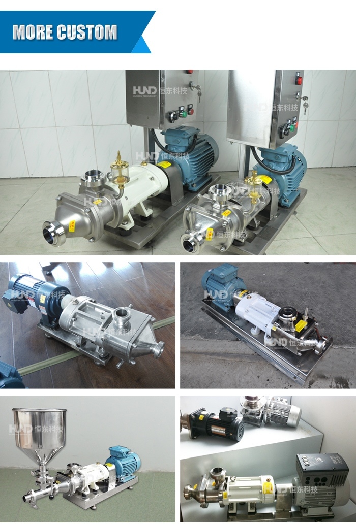 Stainless Steel Honey Twin Screw Fluid Pump/Sauce Spiral Pump