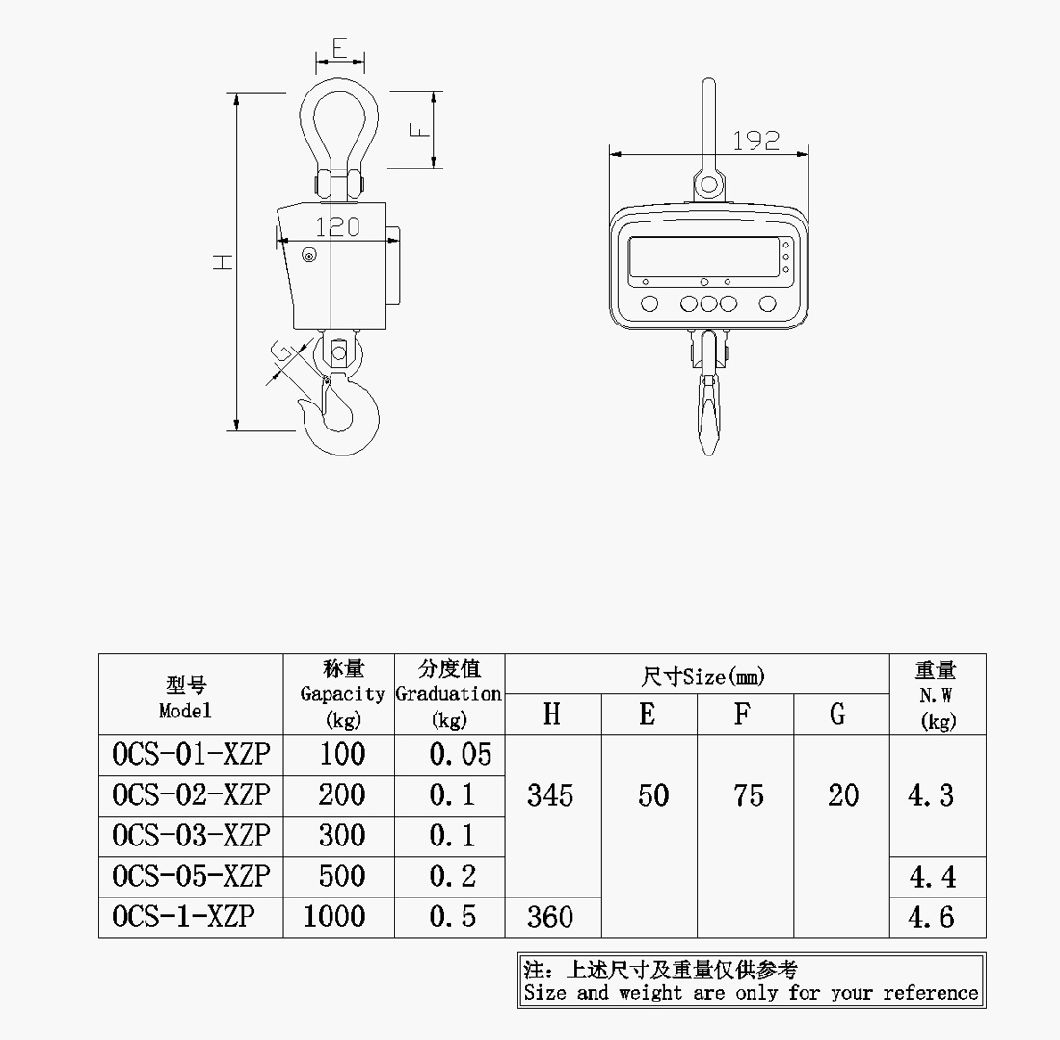 Electronic Crane Scale for Pleasant Type