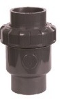 PVC Check Valve with 20-110mm for Water Treatment