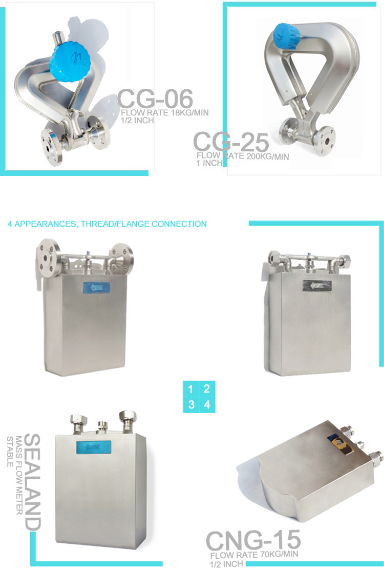 LPG Gas Mass Flow Meter