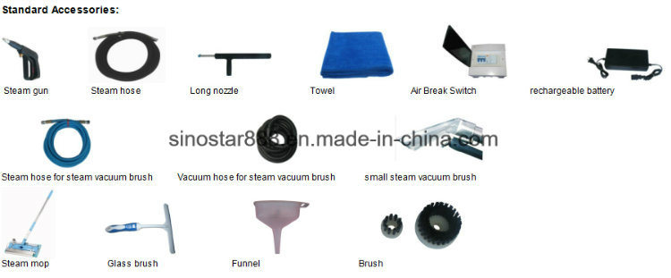 Best Sale Steam Car Washer/Battery Powered Car Washer/Car Mat Washer (SS-JNX-3000)