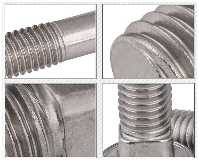 Stainless Steel Hex Head Flange Carriage Bolt & Nut