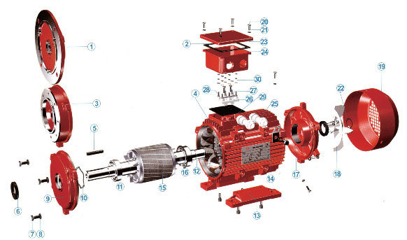 Hm (Y2, YE2, YE3) Series Three Phase High/ Premium Efficiency Electric Motor