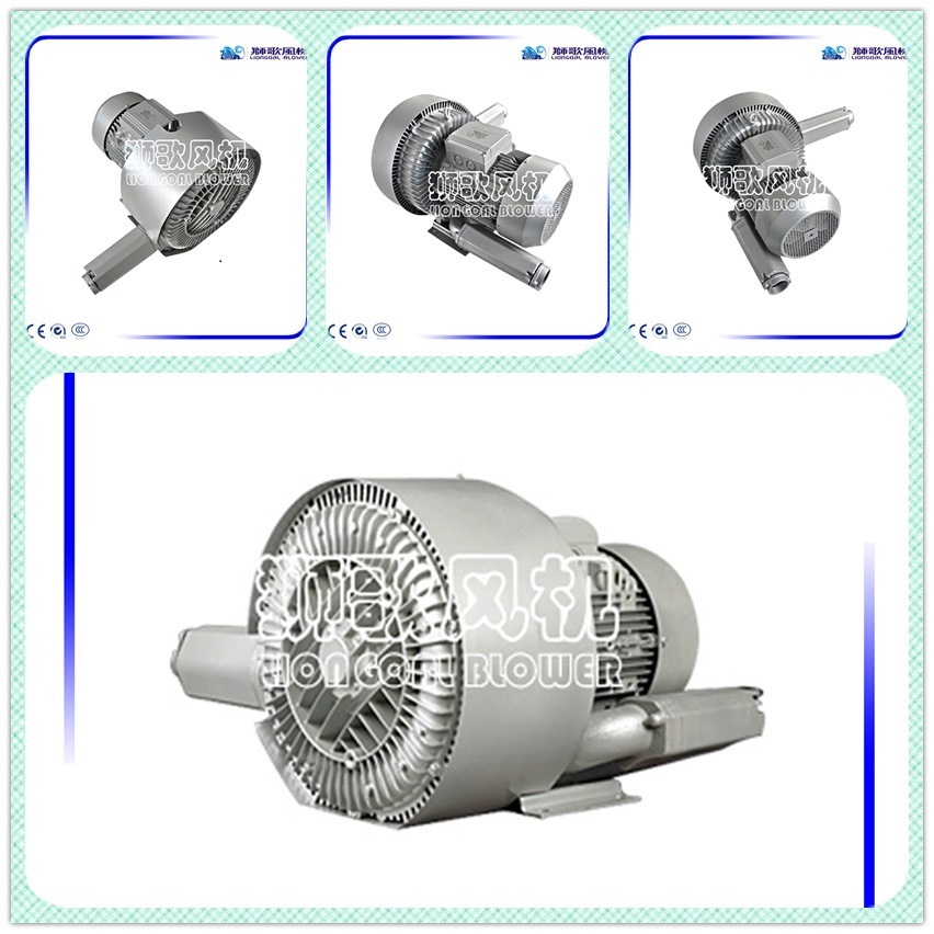 High Pressure Side Channel Air Pump for Fish Farm