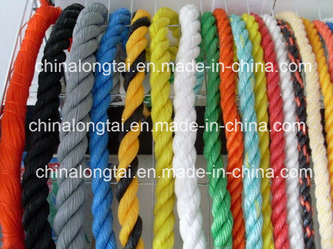 5mm Braided and Twisted PP Rope in Europen Market (SGS)