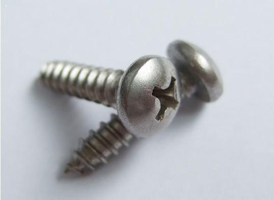 Self Tapping Screw