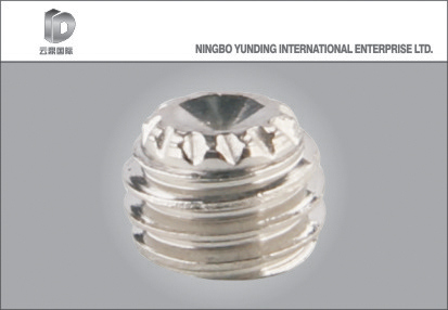 Special Nut High Quality (YD-SN415)