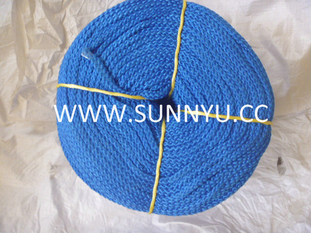 High Quality Strong PE Fencing Rope