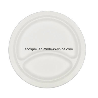 Eco-Friendly Biodegradable Disposable Tableware Bagasse 9