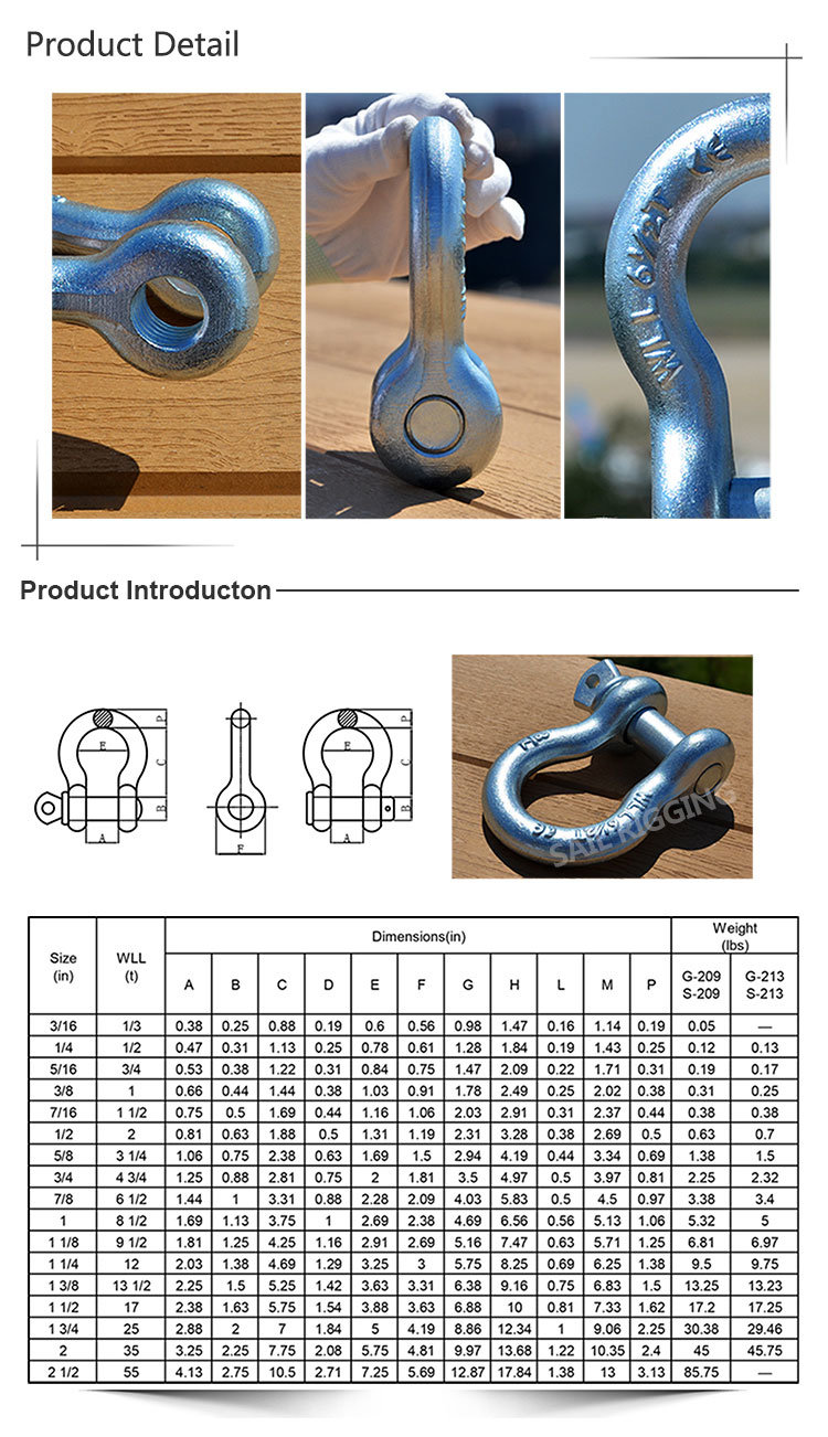 US Type Steel Forged Galvanized Bow Shackle with Safety Pin