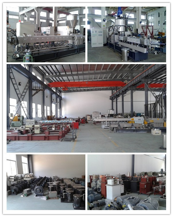 Tse-65 PE with CaCO3 Plastic Filler Masterbatch Parallel Co-Rotating Twin Screw Extruder