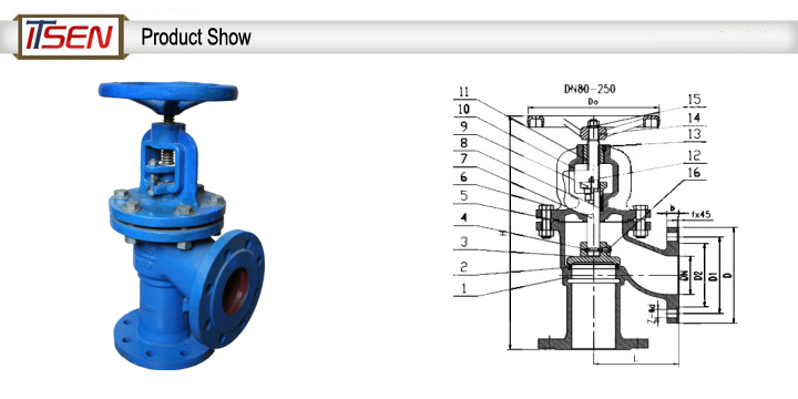 Cast/Ductile Iron Flange End Bellow Seal Angle Globe Valve