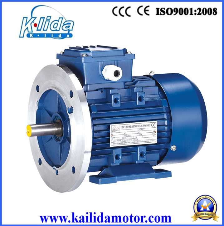 Y3 Series High Torque Three Phase Induction Motor