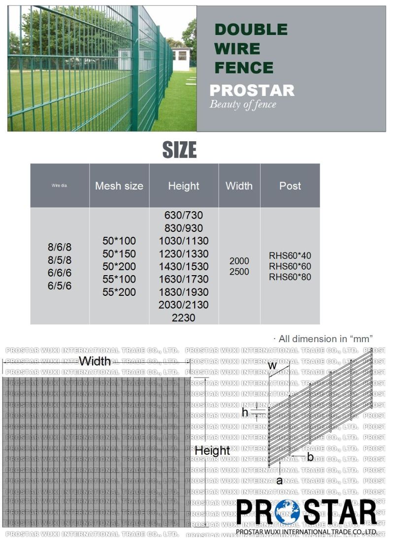 European Style Double Wire Fence with Mesh 50X100 50X150 50X200