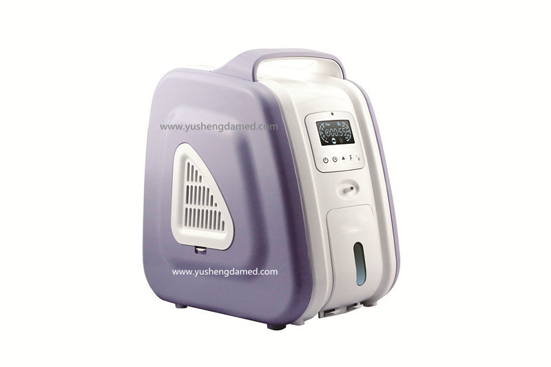 Hot Sale Medical Equipment Portable Small Oxygen Concentrator Vg-2