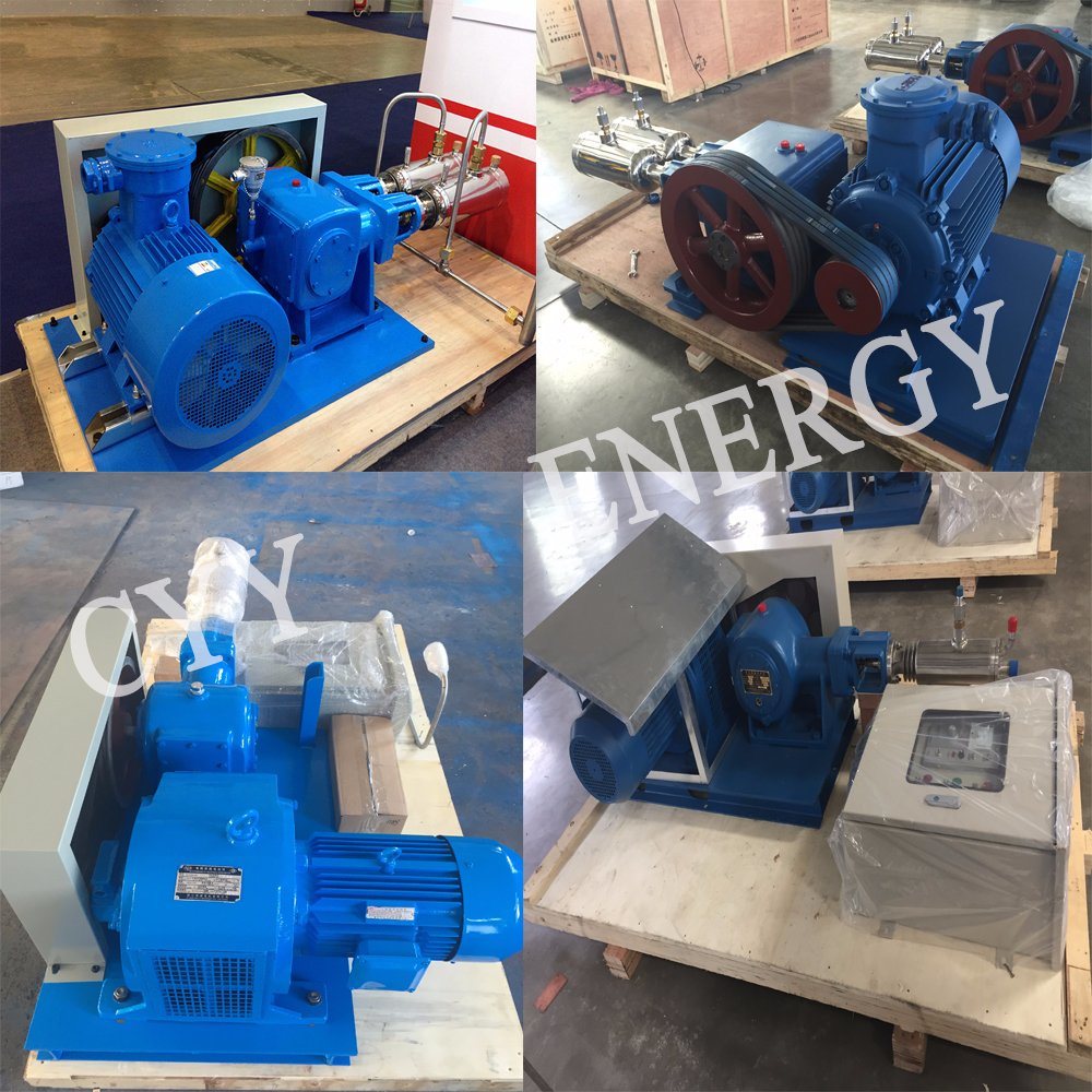 Cryogenic Liquid Cylinder Filling Pump / High Pressure Piston Pump