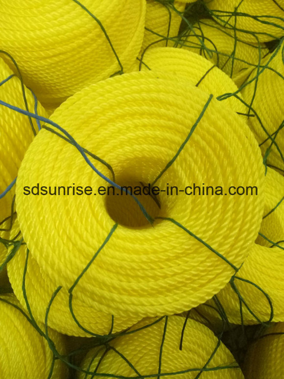 Hot Selling PE Rope and Twine with UV