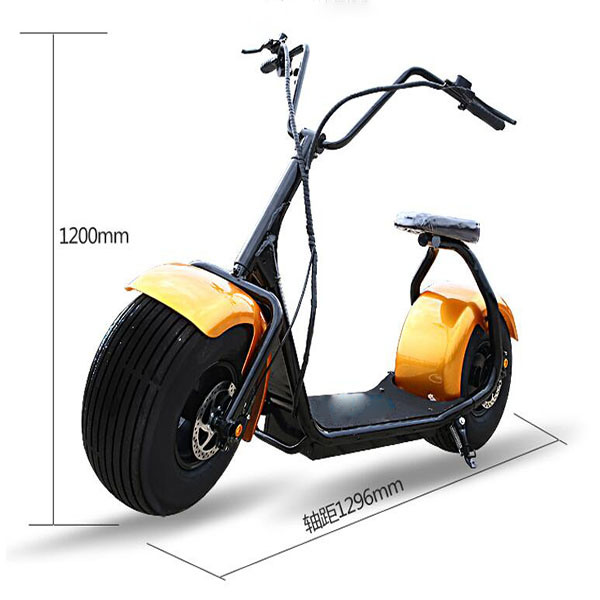 City Coco Harley 1000W/800W Adult Cheap Electric Vehicle