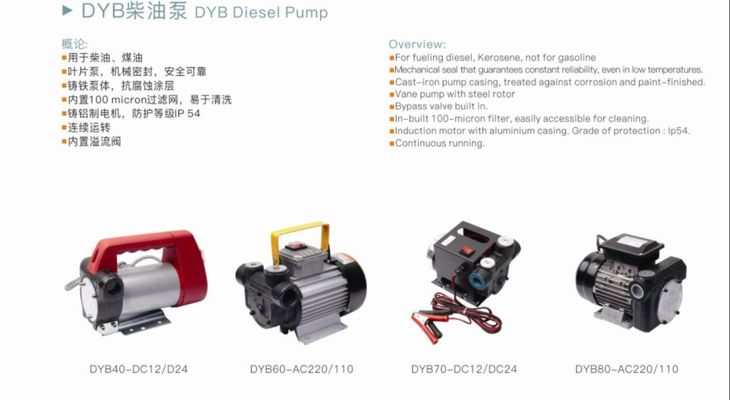 Dyb80 AC 220V Diesel Oil Pump Portable Electric Fuel Transfer Pump