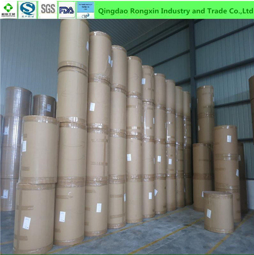 Double Sides PE Coated Paper for Cup