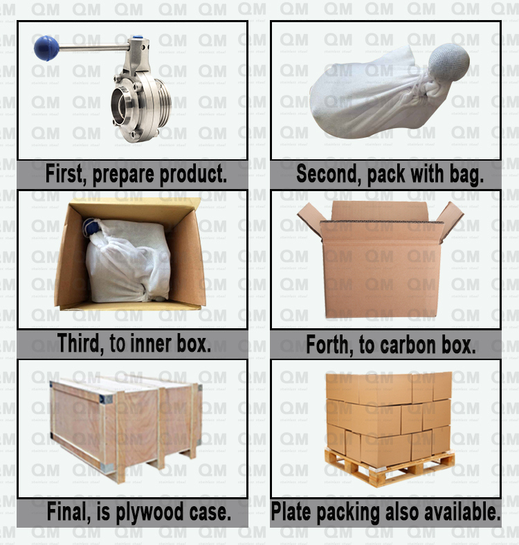 Sanitary Y Type with Swing Clamp Non-Return Check Valve