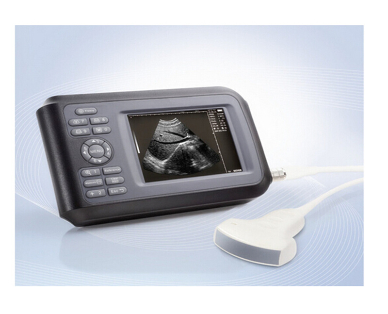 Cheap Price Handheld Portable Ultrasound Scanner with 5.5 Inches