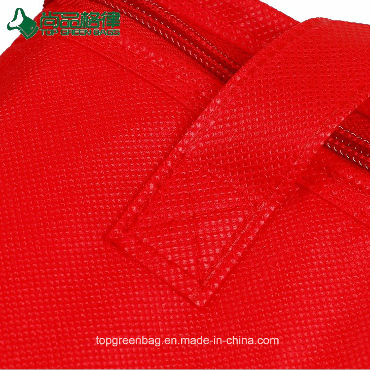 Factory Price Promotion Insulate Non Woven Carry Cooler Hand Bag