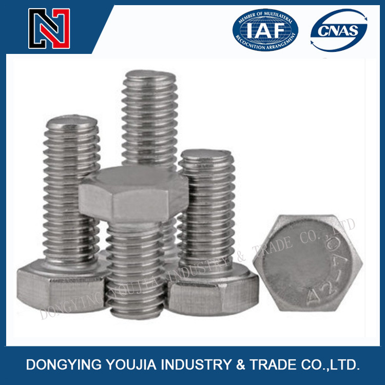 GB5783 Stainless Steel Hexagon Head Bolt with Full Thread