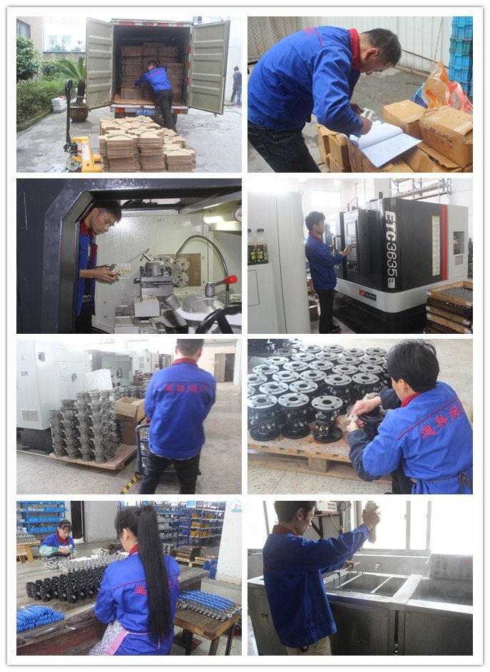 High Quality Ss316 200wog Female Thread Globe Valve