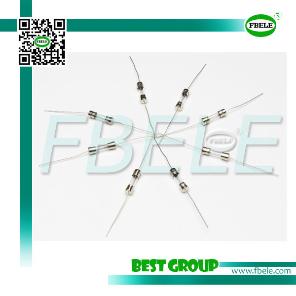 6.35X45 Slow-Blow Glass Tube Fuse Fbgtf (1061, 1062)