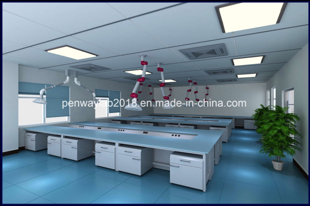 High Quality Chemistry Laboratory Furniture Lab Equipment