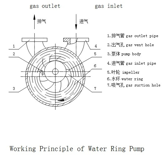 2sk-12 Double Stage Liquid/Water Ring Vacuum Pump