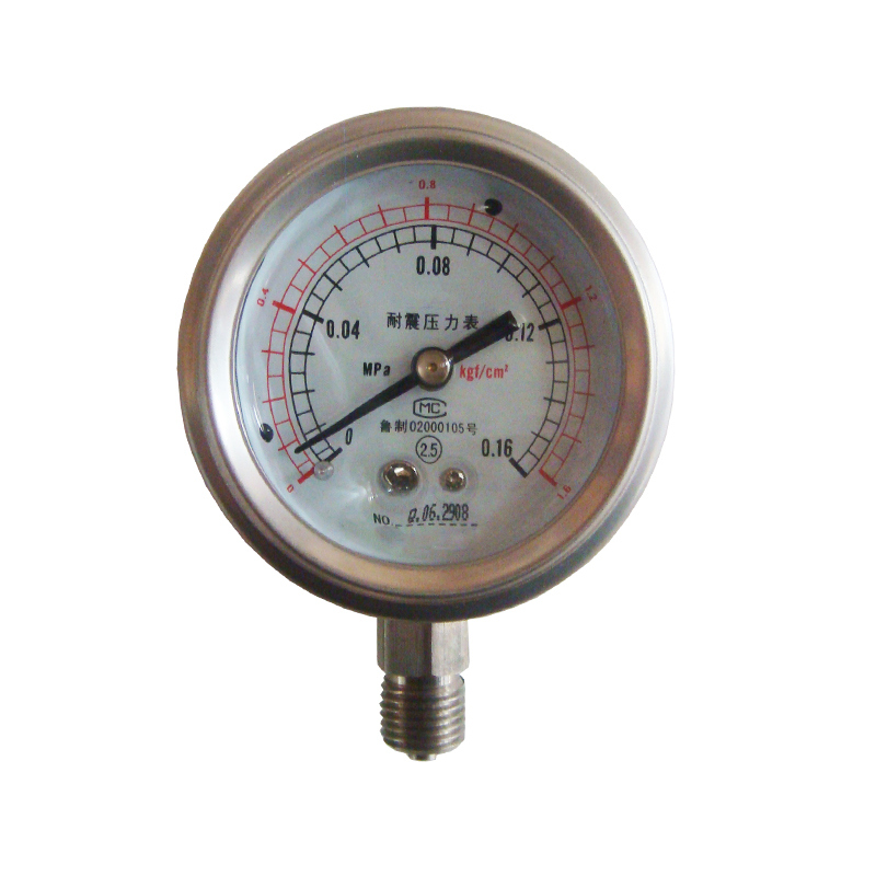 Vibration Proof Stainless Steel Pressure Gauge with Fatory Price