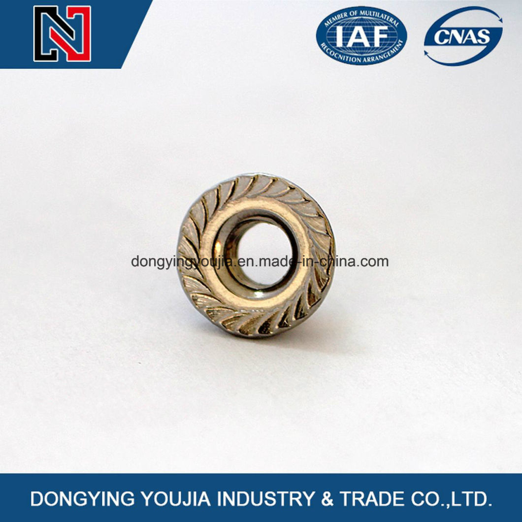 Stainless Steel DIN6923 Hexagon Nut with Flange