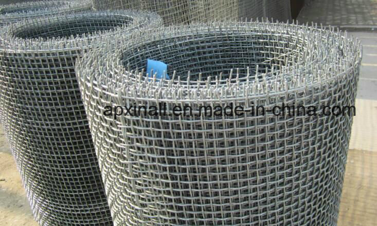 Stainless Steel Sand Sieving Mesh Crimped Wire Mesh (XA-CWM05)