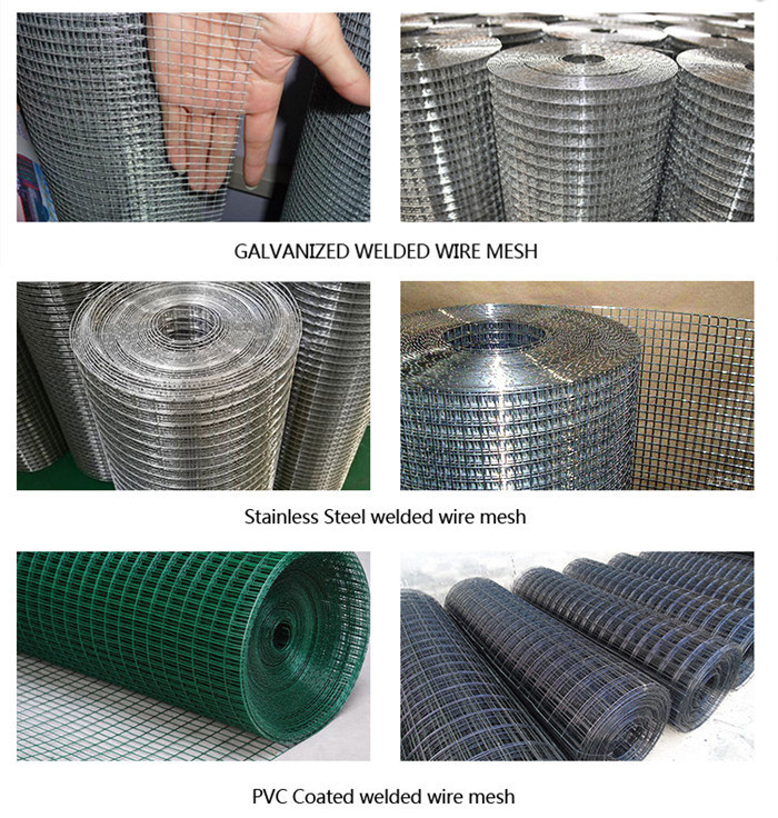 Low Carbon Steel Wire Mesh Welded Wire Mesh for Fencing/Cages