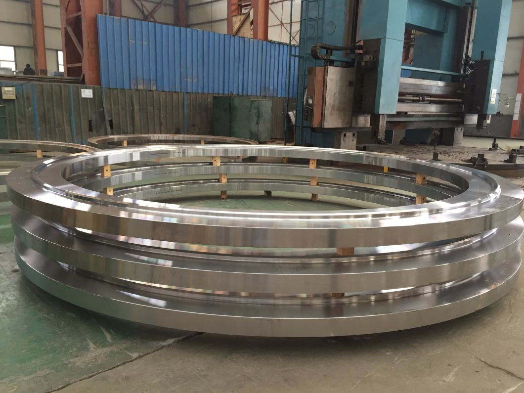 China Supplier for High Quality Forged Flanges