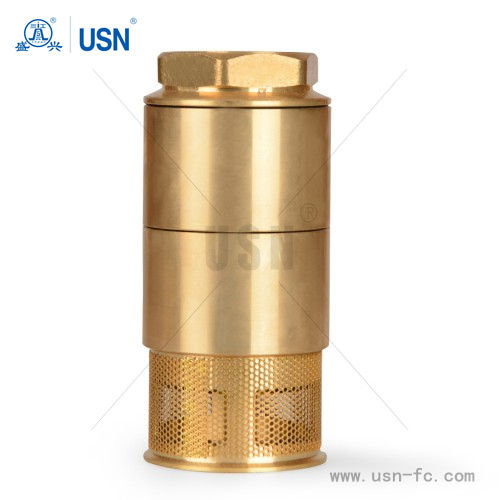 Foot Valve for Fuel Sysstem (FV01)