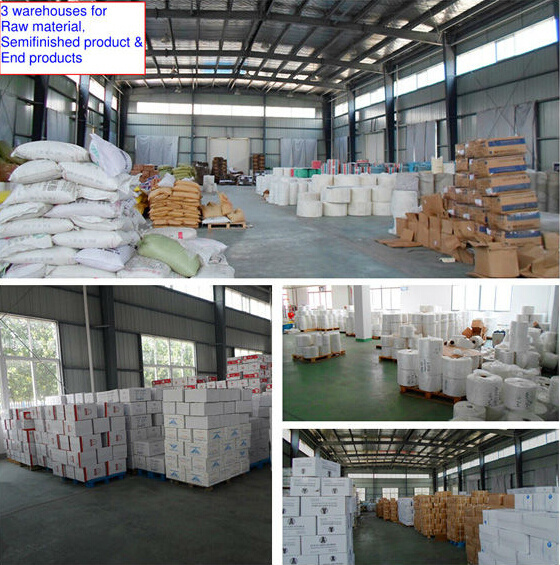 China Plant Supply Disposale Blue/Clear LDPE Gloves for Medical Use