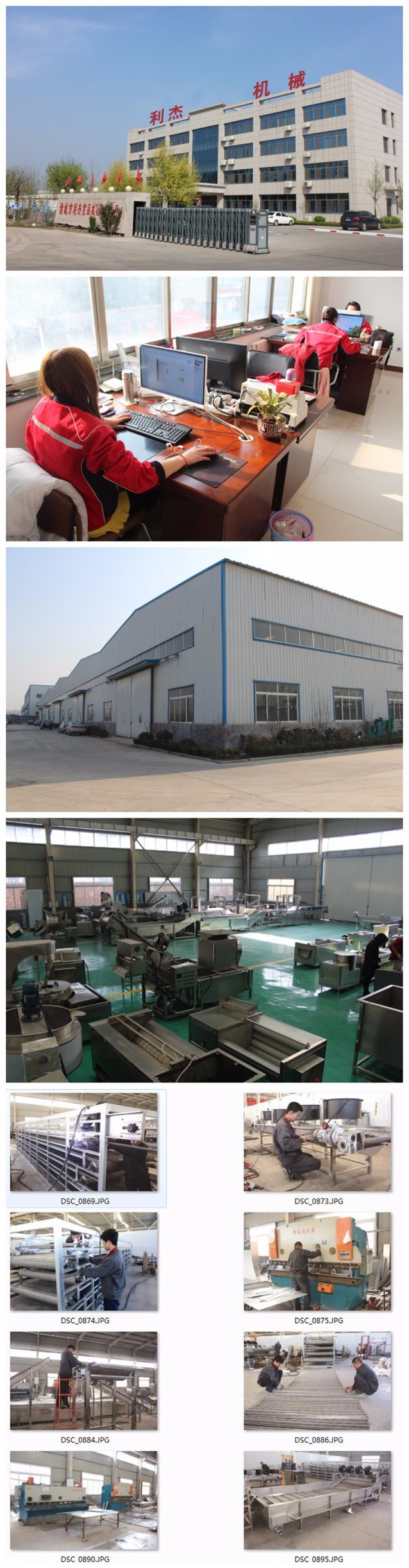 Continous Seaweed Mesh Conveyor Belt Dryer/Drying Machine