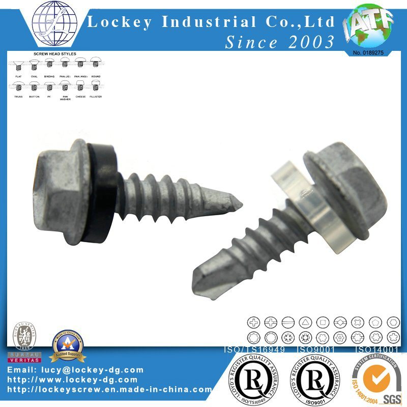 Stainless Steel 316 Hex Washer Head Self Drilling Screw with Rubber Washer