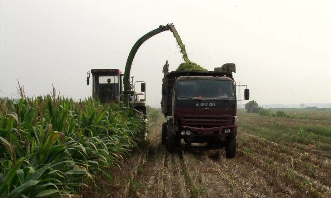 Claas New Tech Green and Yellow Forage Harvester (9qsz3000)