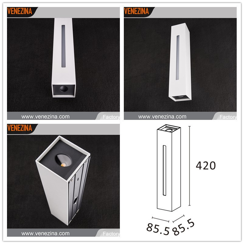 Professional Chinese Manufacturer Developed Interior COB 2*8W+SMD 5W LED Wall Light