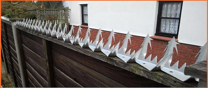 Hot-DIP Galvanized Anti Climb Wall Spikes for Fence