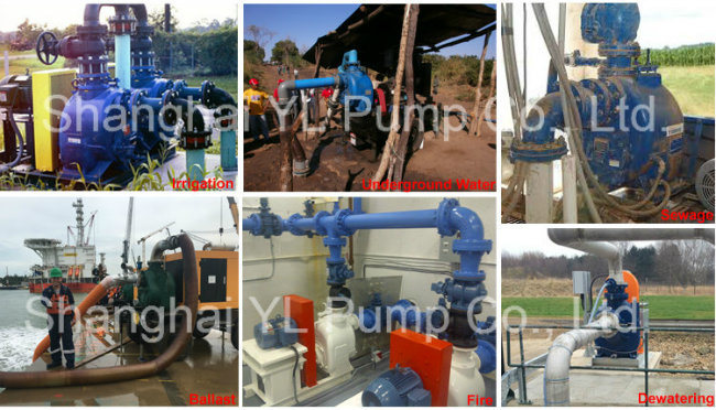 End Suction Self Priming Sewage Pump with Mechanical Seal