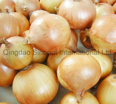 Air-Dried Yellow Onion; Dehydrated Yellow Onion; Adyellow Onion